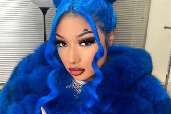 Megan Thee Stallion Addresses Rumors Claiming She Was Abusive To Her Ex