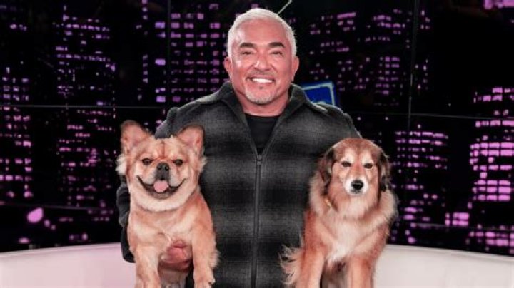 The Dog Whisperer Cesar Milan Slams Donald Trump, Dak Prescott, And American Dog Owners